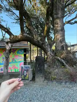 青井阿蘇神社(熊本県)