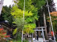 正宝院の景色