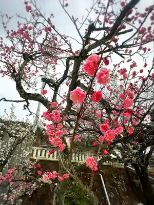 福島稲荷神社の自然