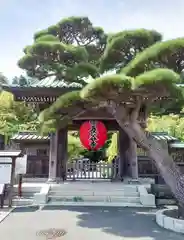 長谷寺(神奈川県)