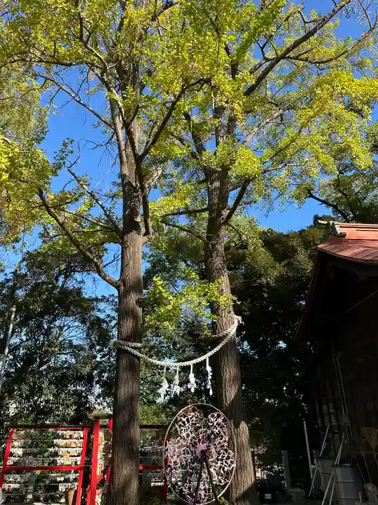 多摩川浅間神社(東京都)