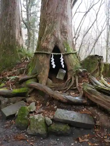 戸隠神社奥社の建物その他