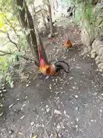 谷保天満宮の動物