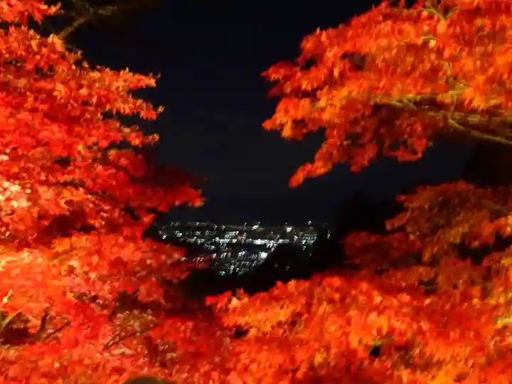 大山寺(神奈川県)