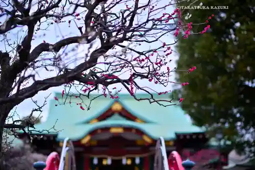 亀戸天神社(東京都)