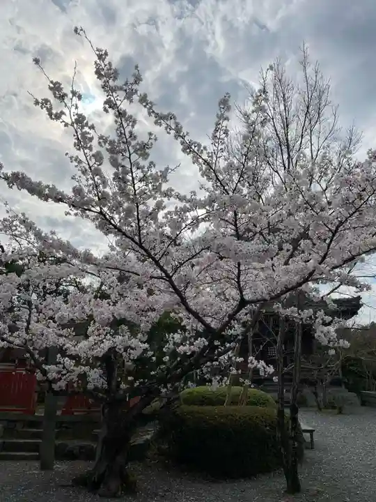 穴太寺(京都府)
