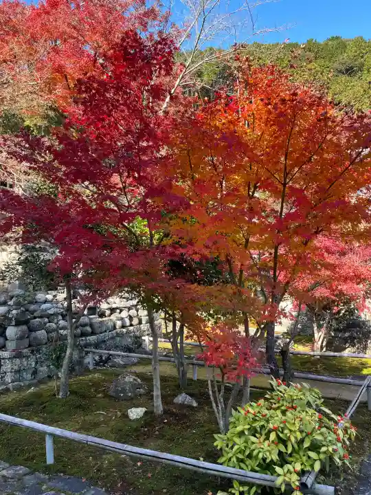 行基寺(岐阜県)