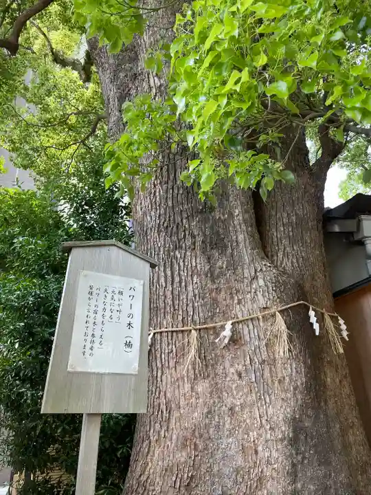 菅生神社(愛知県)