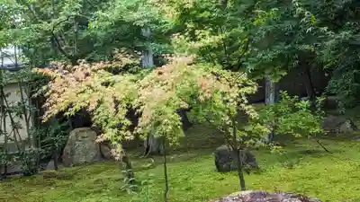 勝林寺(京都府)