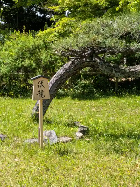 海龍王寺の{uncategorized: "未分類", other: "その他", undefined: "問題あり", building: "その他建物", grave: "お墓", sacred_gate: "鳥居", guardian: "狛犬", statue: "像", buddha: "仏像", history: "歴史", nature: "自然", garden: "庭園", animal: "動物", pagoda: "塔", temizu: "手水舎", mountain_gate: "山門・神門", sanctuary: "本殿・本堂", subordinate: "末社・摂社", art: "芸術", scenery: "景色", jizo: "地蔵", ema: "絵馬", goshuin: "御朱印", omikuji: "おみくじ", items: "授与品その他", amulet: "お守り", goshuincho: "御朱印帳", eats: "食事", festival: "お祭り", votive_dance: "神楽", shichigosan: "七五三参", wedding: "結婚式", experience: "体験その他", initially: "初詣", around: "周辺", anti_infection: "感染症対策"}