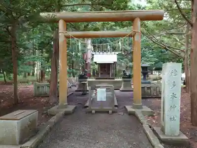 北海道神宮の鳥居
