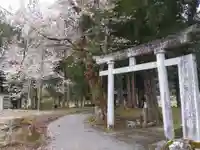 赤城神社(新潟県)