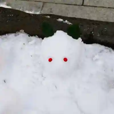 彌彦神社　(伊夜日子神社)の像