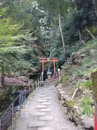 松尾大社の鳥居