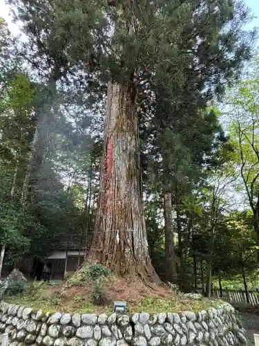 久万山総鎮守　三島神社(愛媛県)