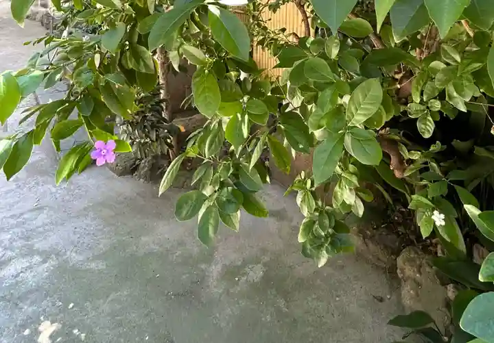 銀杏岡八幡神社(東京都)