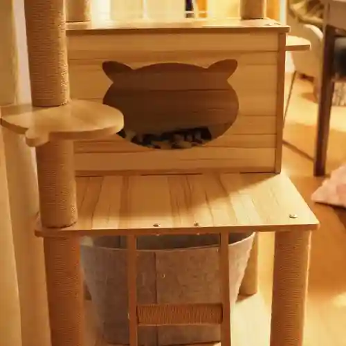 天王山 安楽寺(福井県)