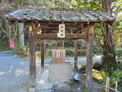 今熊野観音寺(京都府)