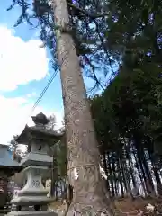 滑川神社 - 仕事と子どもの守り神の自然