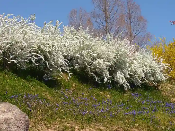 巳徳神社の周辺
