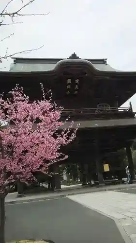 建長寺の山門・神門