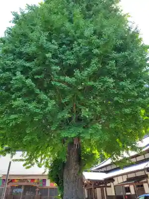 弘誓寺(兵庫県)