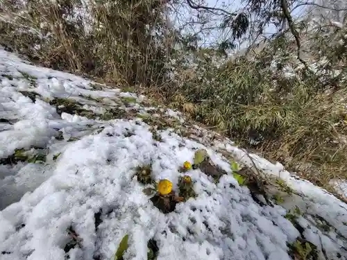 正観音堂(福島県)