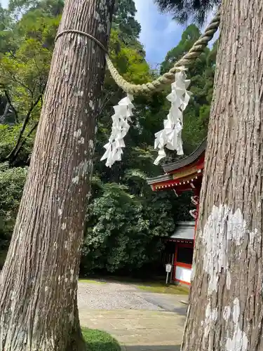 霧島東神社(宮崎県)