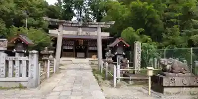 和泉國一之宮　大鳥大社(大阪府)