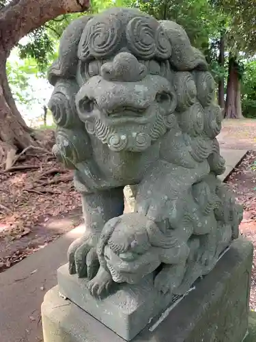 鷲宮神社の狛犬