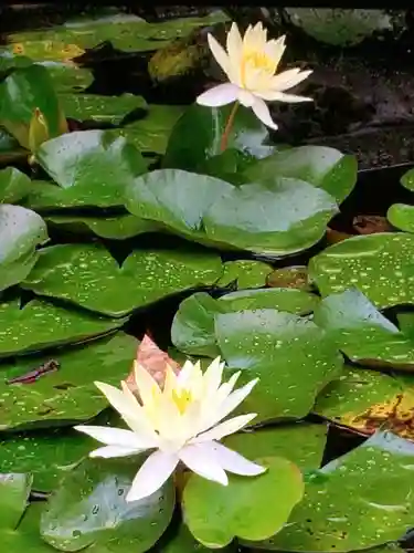 福泉寺(東京都)