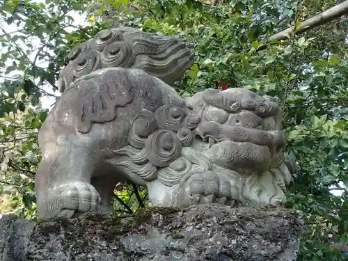 渋川八幡宮の狛犬