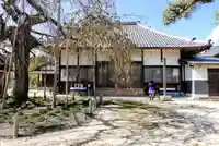 金剛寺の本殿・本堂