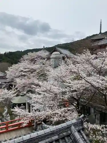 南法華寺（壷阪寺）(奈良県)