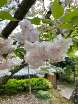 松尾寺(京都府)