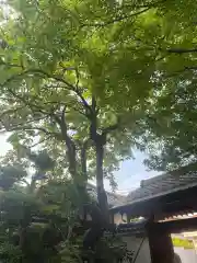 念照寺(大阪府)