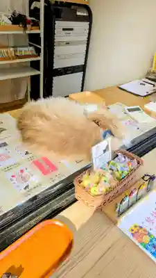 駒込妙義神社の動物
