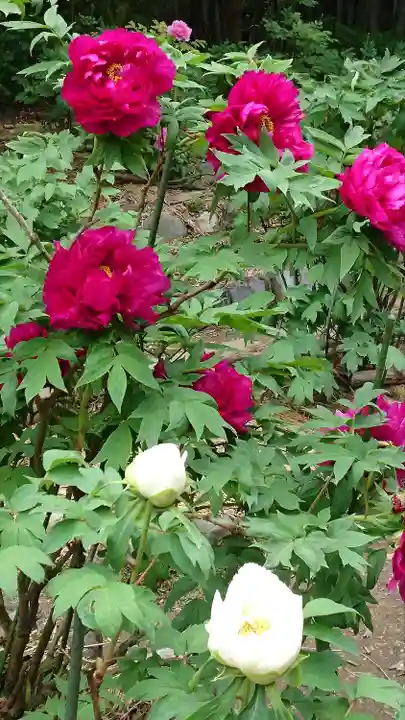 総持寺(滋賀県)