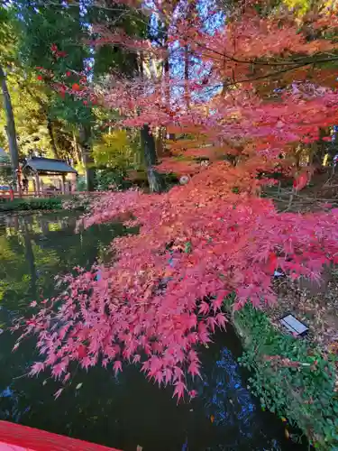 間々田八幡宮(栃木県)