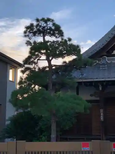 本念寺(大阪府)