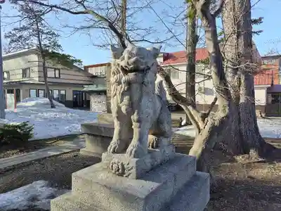 空知神社の狛犬