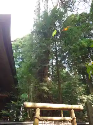 幣立神宮(熊本県)