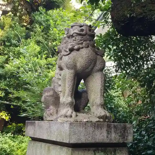 赤坂氷川神社の狛犬