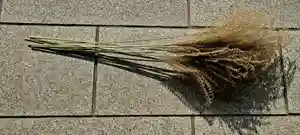 出雲大社倉敷教会(岡山県)(2025年12月05日(金) 14時39分25秒投稿)