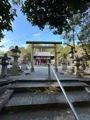 新屋坐天照御魂神社(大阪府)