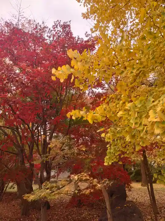 淨眞寺(東京都)