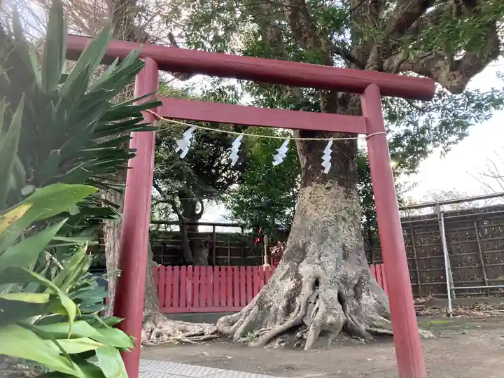 正一位稲荷大明神(築山稲荷社)(神奈川県)