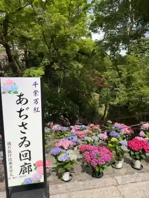 長谷寺(奈良県)