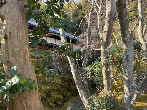 華厳寺（鈴虫寺）の{uncategorized: "未分類", other: "その他", undefined: "問題あり", building: "その他建物", grave: "お墓", sacred_gate: "鳥居", guardian: "狛犬", statue: "像", buddha: "仏像", history: "歴史", nature: "自然", garden: "庭園", animal: "動物", pagoda: "塔", temizu: "手水舎", mountain_gate: "山門・神門", sanctuary: "本殿・本堂", subordinate: "末社・摂社", art: "芸術", scenery: "景色", jizo: "地蔵", ema: "絵馬", goshuin: "御朱印", omikuji: "おみくじ", items: "授与品その他", amulet: "お守り", goshuincho: "御朱印帳", eats: "食事", festival: "お祭り", votive_dance: "神楽", shichigosan: "七五三参", wedding: "結婚式", experience: "体験その他", initially: "初詣", around: "周辺", anti_infection: "感染症対策"}