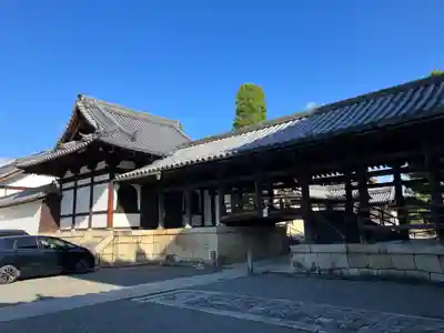妙心寺（妙心禅寺）(京都府)